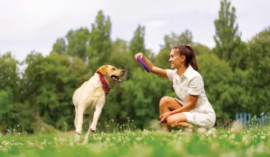 Fitness Station (Outdoor and Indoor)